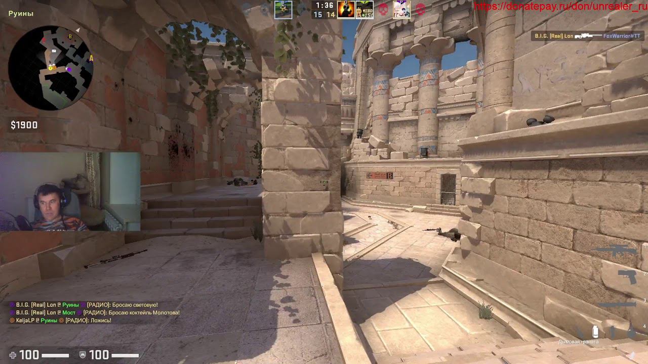 Каточка в CS смотреть онлайн