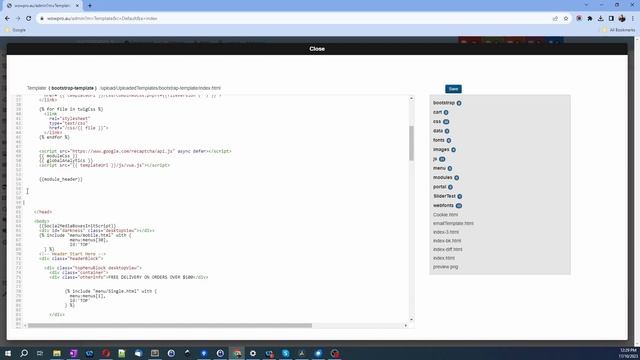 Adding special code to the HEAD and/or BODY sections of your template смотреть онлайн