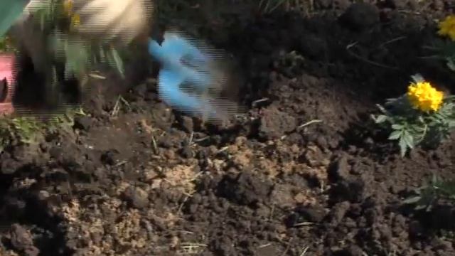 #19 Большая чистка. Самолет Ил-2 смотреть онлайн