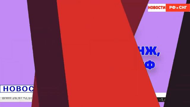 Райские сады экзотической растительностей