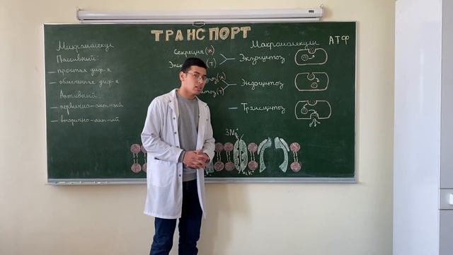 Транспорт. Биохимия смотреть онлайн