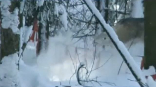 ProShow Slideshow ВОЛЧЬЕ СОЛНЦЕ 2 смотреть онлайн