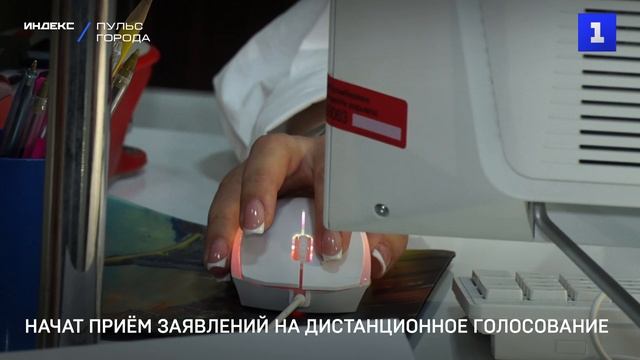 Начат приём заявлений на дистанционное голосование смотреть онлайн