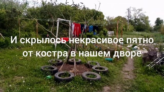 ПРОСТАЯ САМОДЕЛЬНАЯ ОПОРА ДЛЯ ИПОМЕИ смотреть онлайн