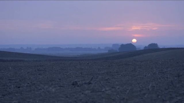 Картофельные хлопья Knorr