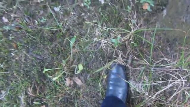 Нога в лесотундре проваливается в землю, как в кровать! смотреть онлайн