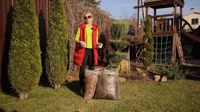 Что такое мульчирование? В чем польза мульчирования для деревьев? Виды фракций смотреть онлайн