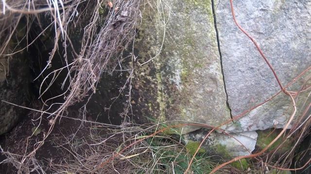 Дольмены , поселок Пионерское, симферопольский район, интересное рядом. смотреть онлайн