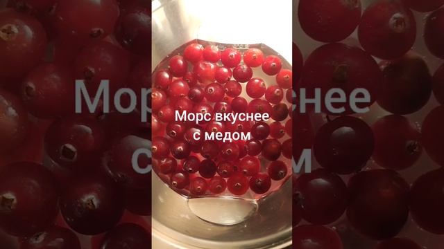 Секрет моего морса от простуды смотреть онлайн
