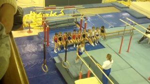 Соревнования по спортивной гимнастике, элемент брусья