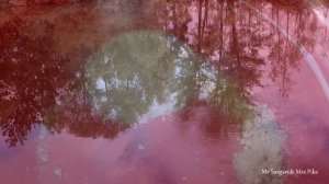 Громадные лини на Херабуну. Рыбалка, философия, искусство.