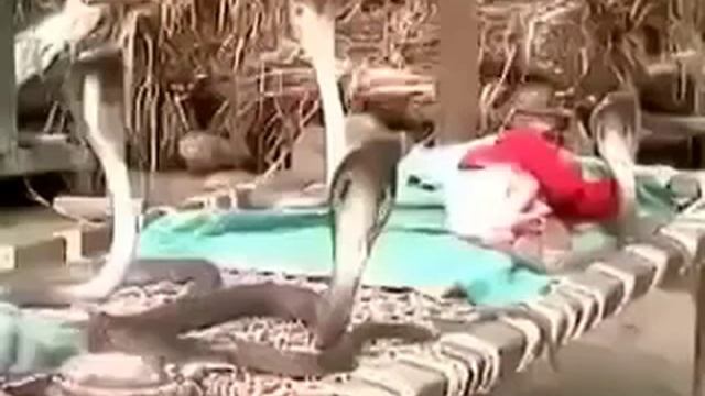 Эрик Тумас. Змеи охраняют сон ребенка! смотреть онлайн