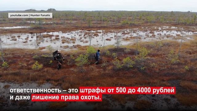 Сроки весенней охоты объявили на Ямале