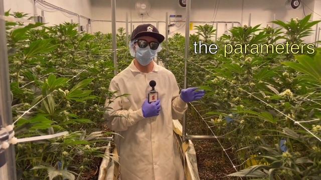 HPS vs LED which is BETTER?! смотреть онлайн