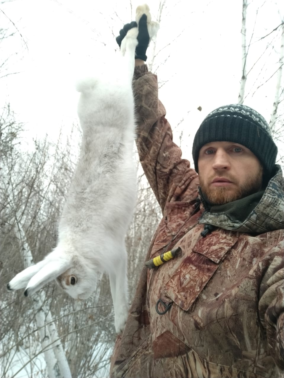 ОХОТА на ЗАЙЦА ОХОТА С СОБАКОЙ ПОДНЯЛ с ЛЕЖКИ ЗАЯЦ ВЫШЕЛ на НОМЕР ДОБЫЛ ЗАЙЦА ЗАКРЫЛИ СЕЗОН смотреть онлайн