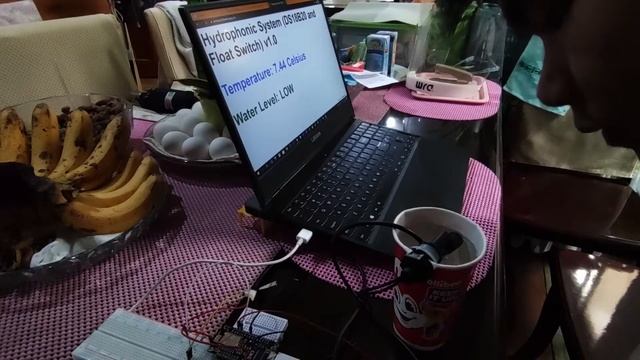 IOT Hydroponic System (NodeMcu + 000webhost) смотреть онлайн