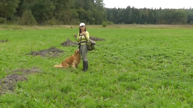 Working test in the Moscow region, July 27-28, 2013, Judges: Zsolt & Andrea Boszormenyi смотреть онлайн