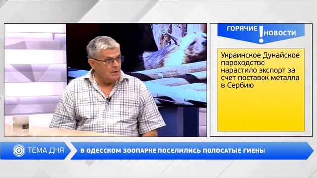 День на Думской. Игорь Беляков, 13.07.2018 смотреть онлайн