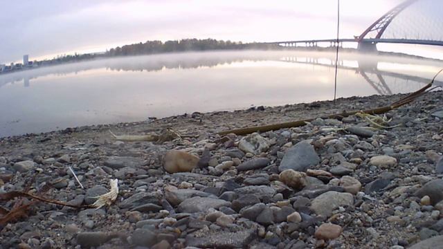 Бугринка, коса.