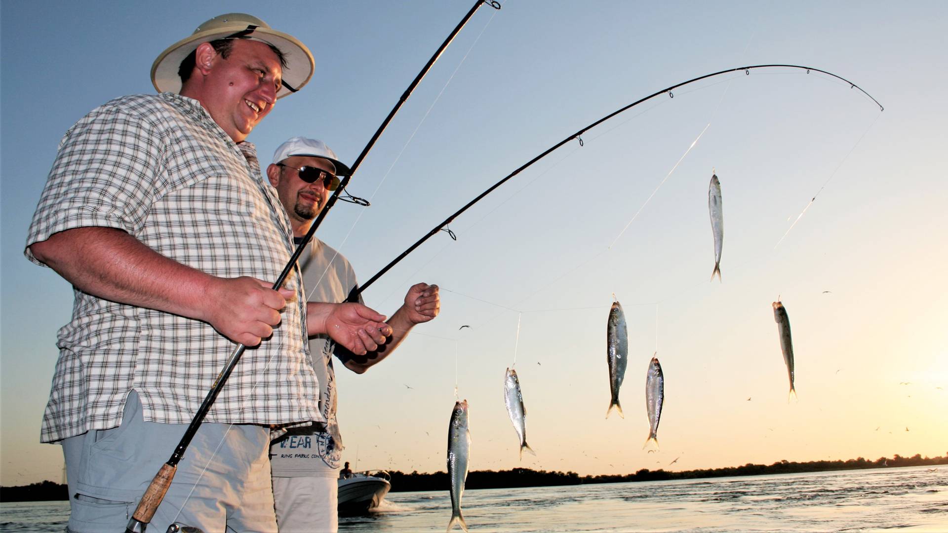 ХИТ-НА-ДОНУ.  САМАЯ ИЗВЕСТНАЯ РЫБА В МИРЕ ЛОВЯТ МИЛЛИОНЫ