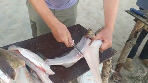 СУДАchek. Начало / Рыбалка в Карелии на оз. Выгозеро в 2021 году