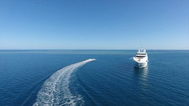 SETTLEMENT playing on the Great Barrier Reef смотреть онлайн