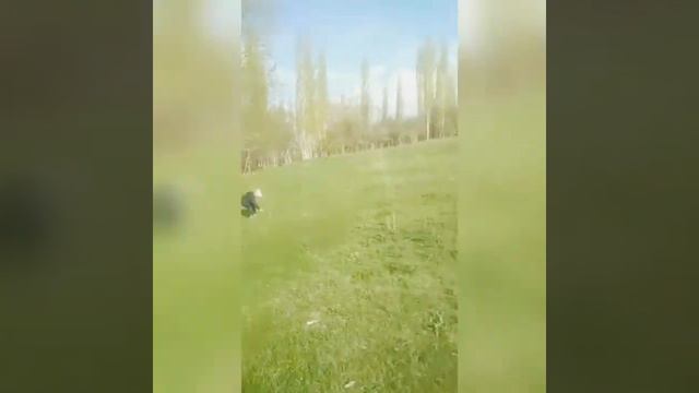 жени жоктун балам жок смотреть онлайн