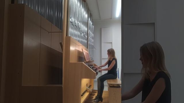 Drei Haselnüsse für Aschenbrödel. Orgel version. Tři oříšky pro Popelku. Organ смотреть онлайн