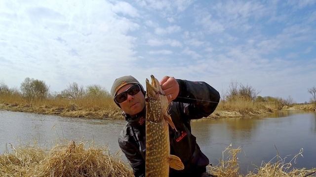 Открываем спиннинговый сезон на реках. Тактика ловли, приманки и снасти смотреть онлайн