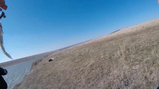 РЫБАЛКА! На озере ЛИМАН. Ставропольский край смотреть онлайн