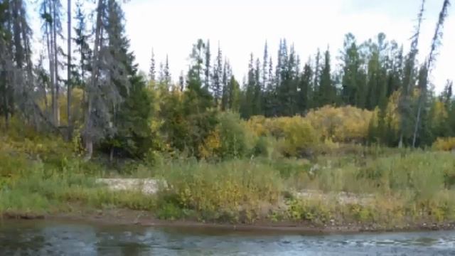 Рыбалка в тайге смотреть онлайн