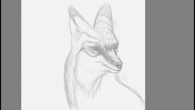 Fox Sketch - #krita #timelapse смотреть онлайн
