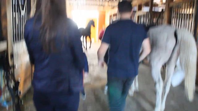 Мои тренировки в КСК Рожновский смотреть онлайн