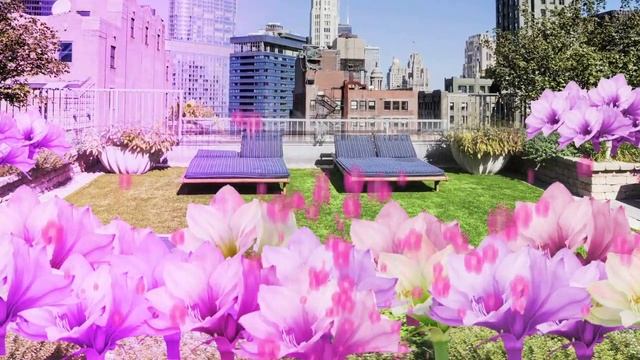 Introducing DKNY Be Delicious City Blossom смотреть онлайн