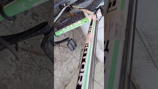 Видео №576756 смотреть онлайн