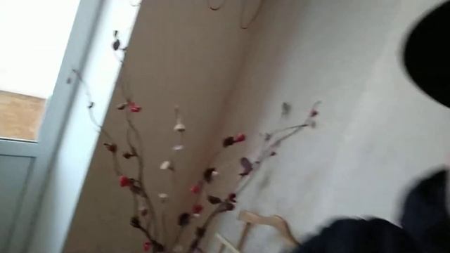 Прилуки ул. Знаемська 49 смотреть онлайн