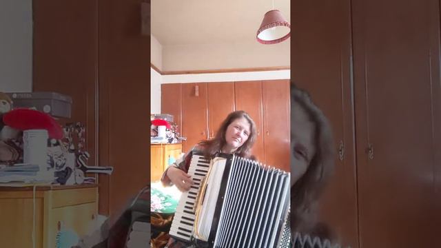 CSARDAS MONTI - ACCORDION. смотреть онлайн