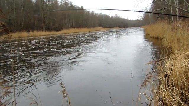 Ловля лосося. Открытие сезона. смотреть онлайн