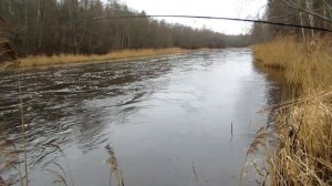 Ловля лосося. Открытие сезона.