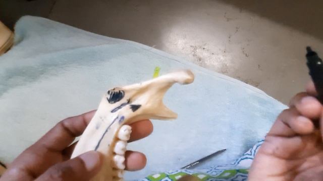 Mandible-- Demonstration смотреть онлайн