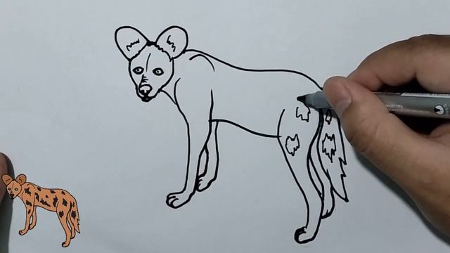 How to draw african wild dog easy смотреть онлайн