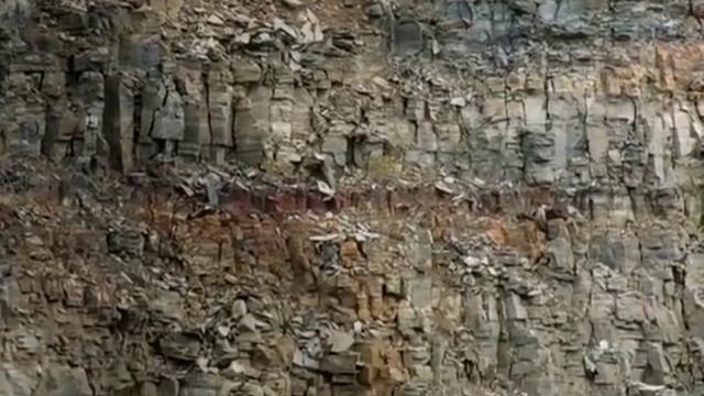 Полет птенца вниз со скалы SD смотреть онлайн
