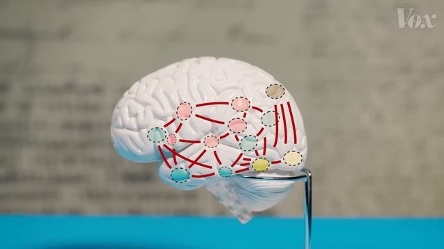 Why the dyslexic brain is misunderstood смотреть онлайн