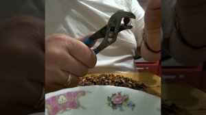 Как быстро очистить кедровые орешки