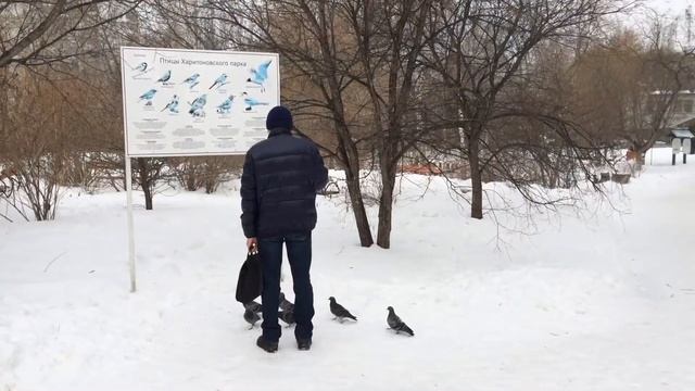 Харитоновский парк г.Екатеринбург смотреть онлайн