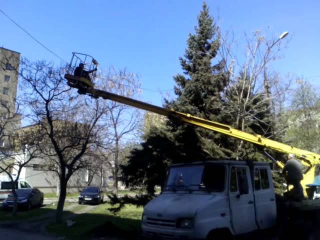 Поднимаем упавшую Ель. смотреть онлайн
