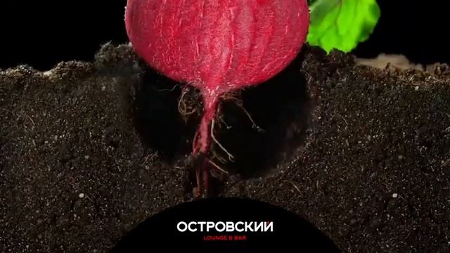 корпоратив смотреть онлайн