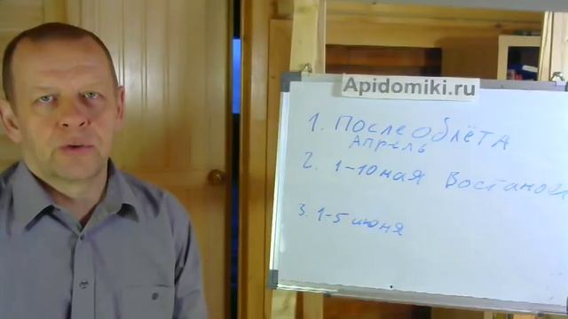 Когда лучше купить пчёл - после облёта, в мае, в июне и почему. смотреть онлайн