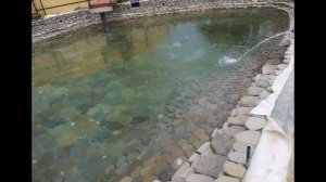 Пруд для форели, осетра и карпа (19)