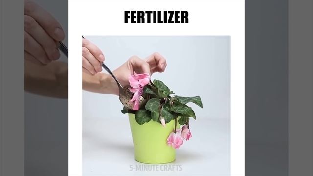 28 БЕСПОДОБНО ВКУСНЫХ ЛАЙФХАКОВ С ЯЙЦАМИ смотреть онлайн